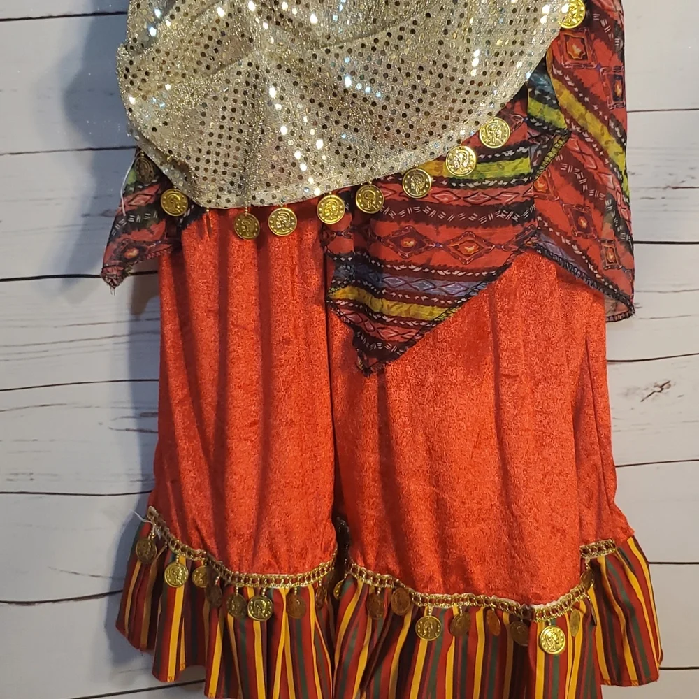 Halloween Costume or Dress Up‎
